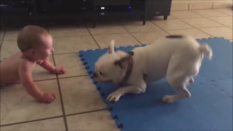 Excited dog meets cute baby... 😊👶👶🐶🐶