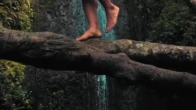 a-woman-wearing-a-swimsuit-walking-on-top-of-a-tree-trunk