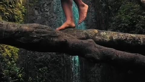 a-woman-wearing-a-swimsuit-walking-on-top-of-a-tree-trunk