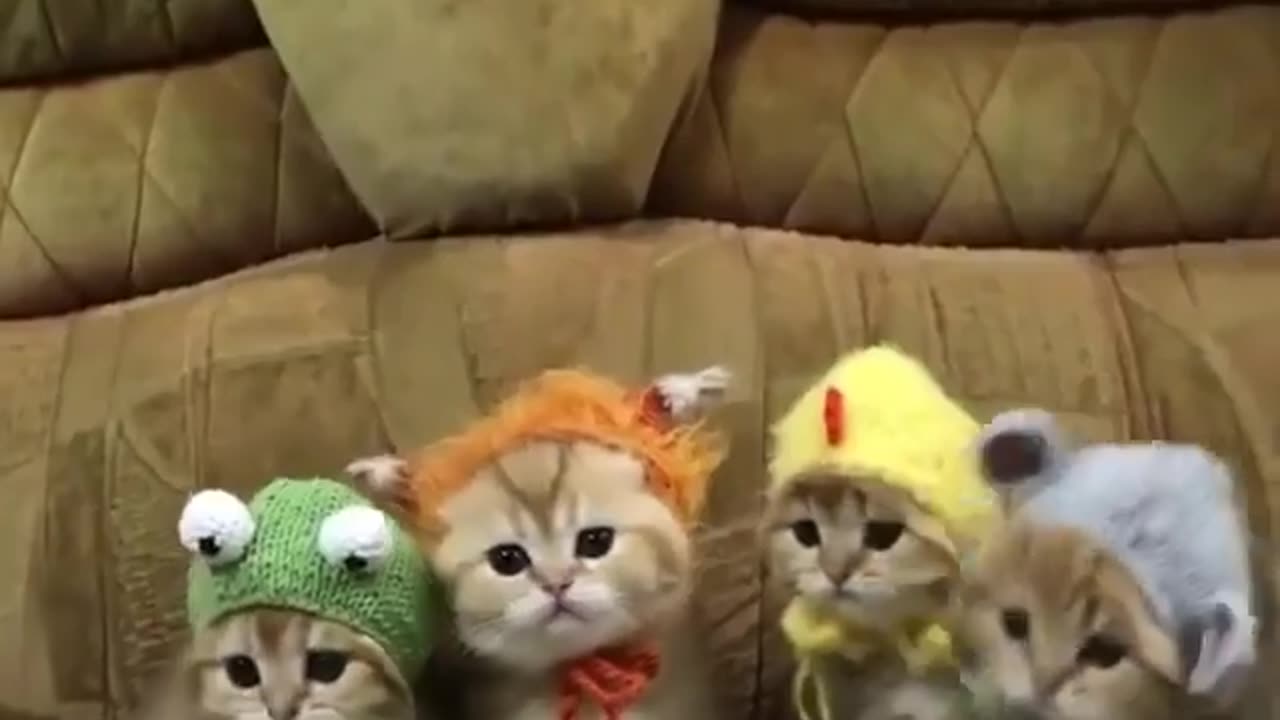 Me and the gang in cute hats :3