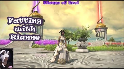 Video and stream intro