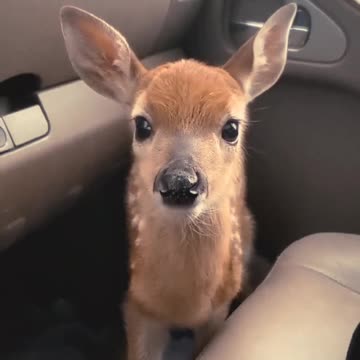 How about a ride? 🤩👍