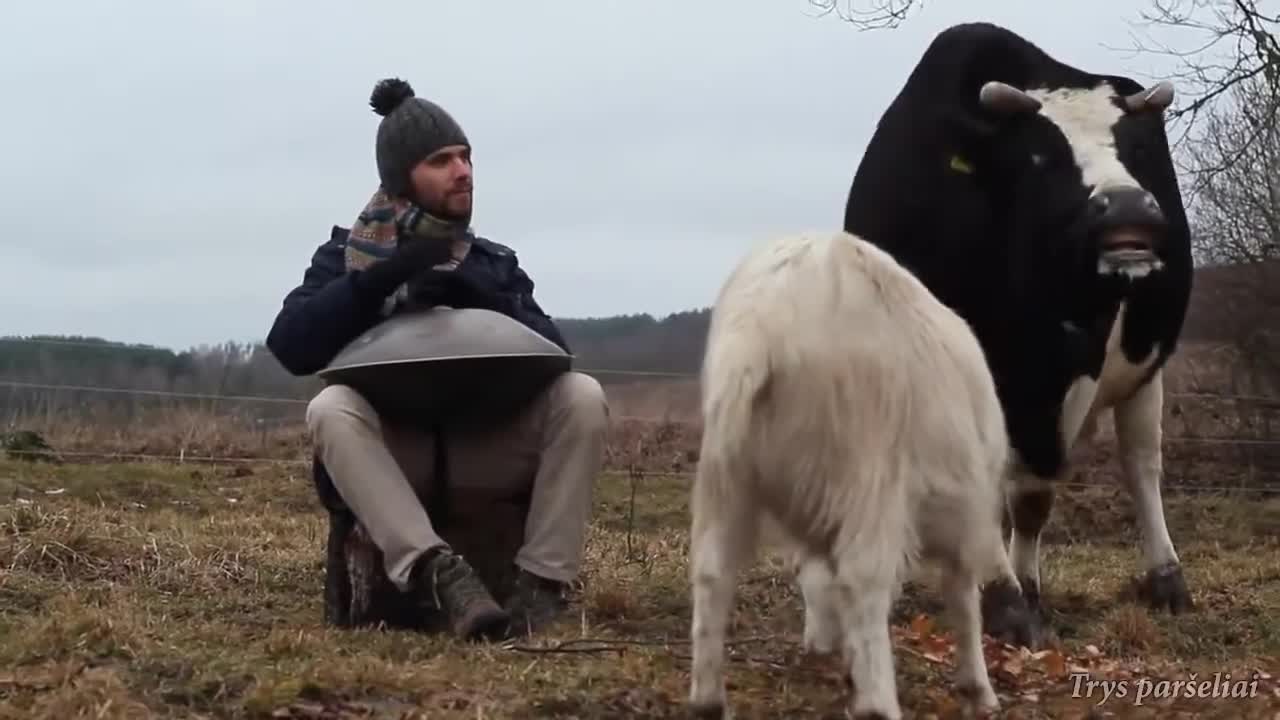 Playing music for the rescued animals in their sanctuary