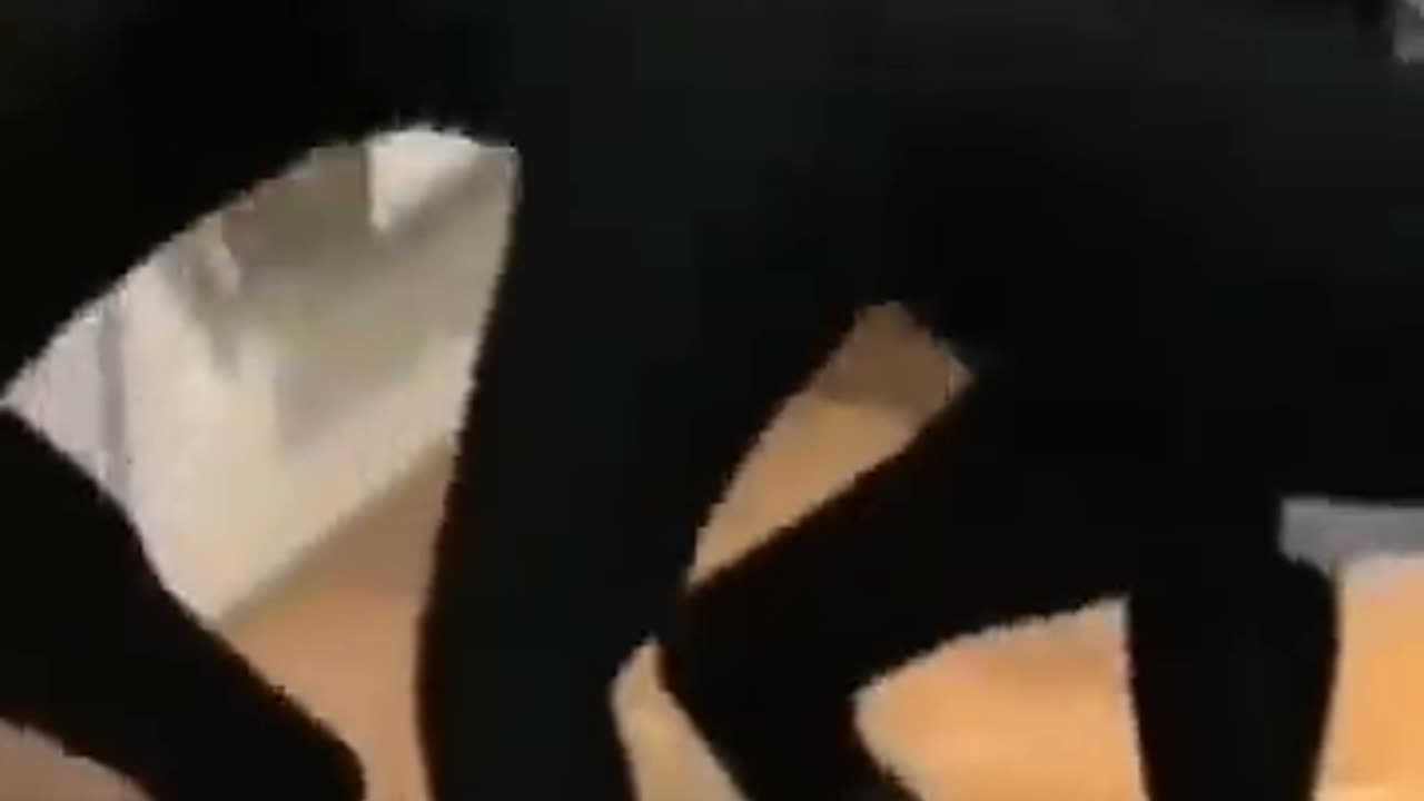 Random memes I found on TikTok pt.2(360P