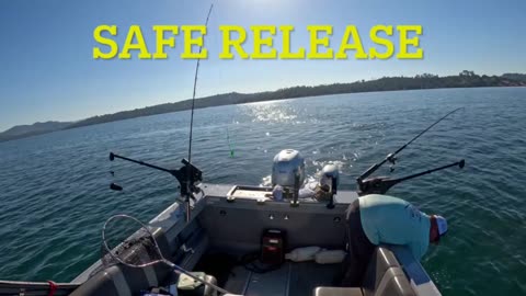 06-23-24 Folsom Lake, CA. Rainbow Trout