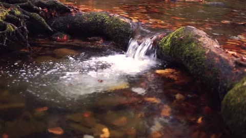 2 HOURS OF GENTEL WATER SOUND, Nature Sounds to Sleep, Study, Relax, Reduce Stress, Help Insomnia
