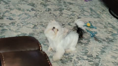 Milea