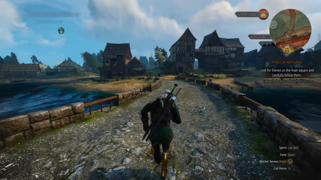 Witcher 3 - Pyres of Novigrad Look for Thieves on The Main Square