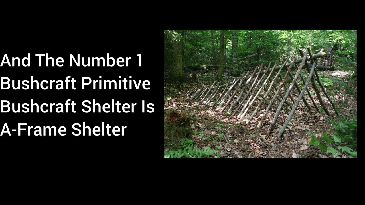 Allen's Top 4 Pros And Cons Bushcraft Primitive Shelters