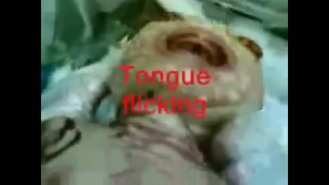 Reptilian Babies From D.U.M.B.s