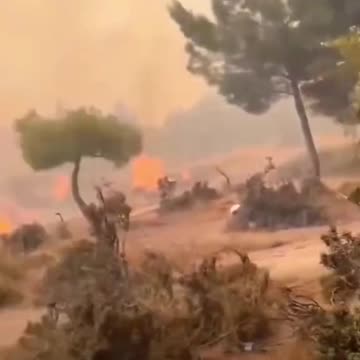 Wildfire at Turkey. Greece and Tenerife