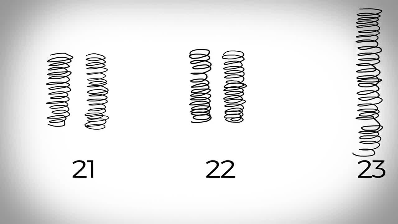 Genes, DNA and Chromosomes explained Science Explained