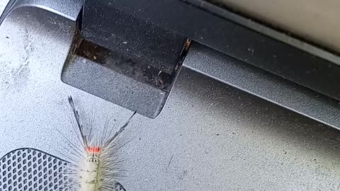 What is this?