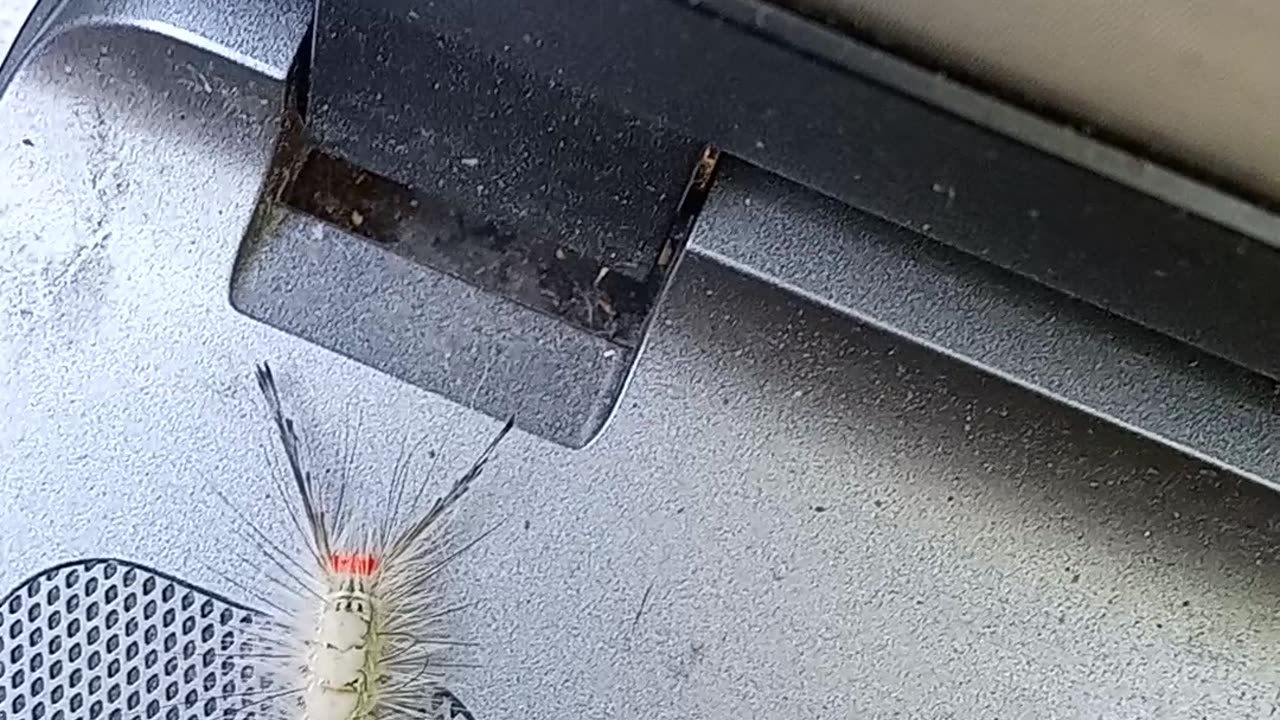 What is this?