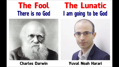 A Fool & A Lunatic