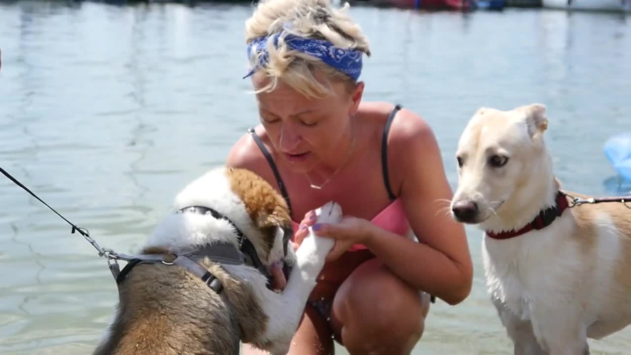 Woman kiss a Dog with Love on a Beach Sunny Day