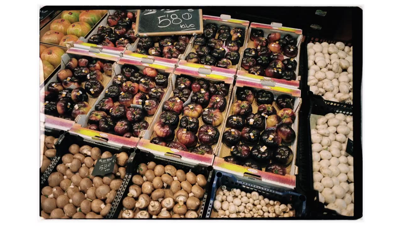 Rimowa A Lifetime Of Memories