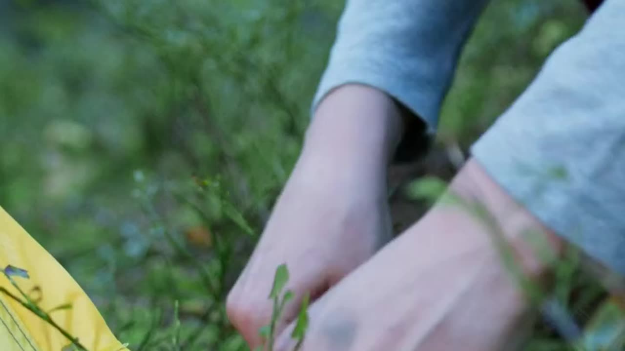 A person sitting forest