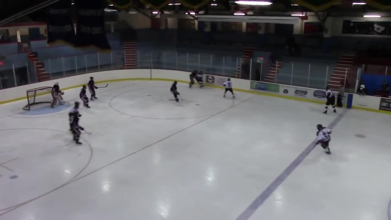 Unreal youth hockey save!!
