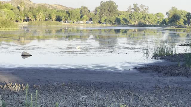 Drought at Fisherman’s Retreat