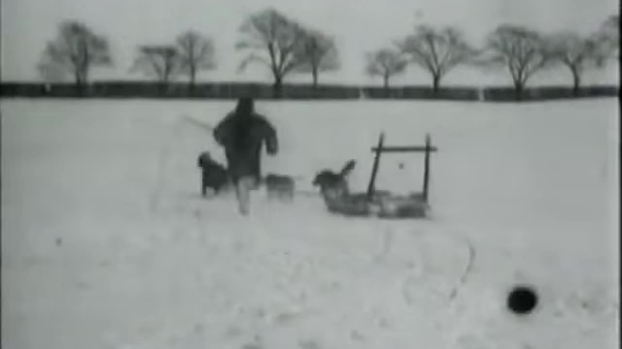 Driving With Greenland Dogs (1897 Film) -- Directed By Peter Elfelt -- Full Movie