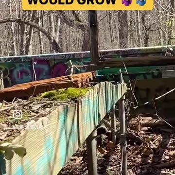 ONLY THING GROWING IS MOSS!