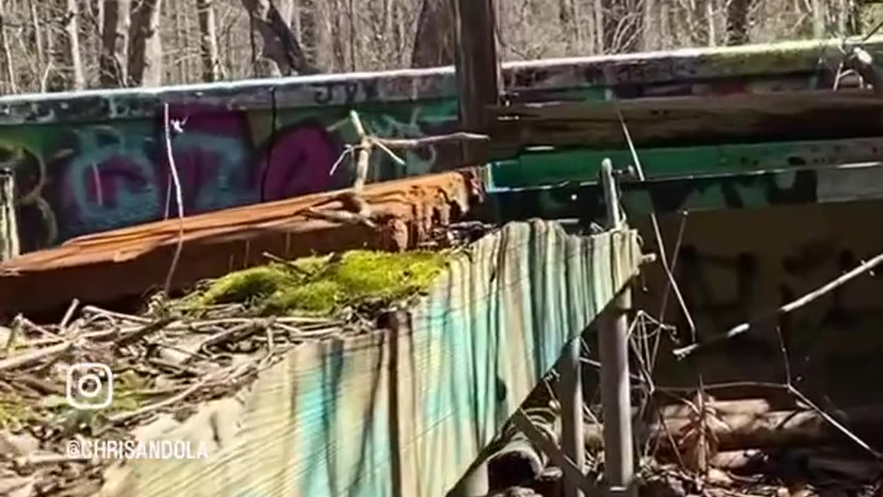 ONLY THING GROWING IS MOSS!