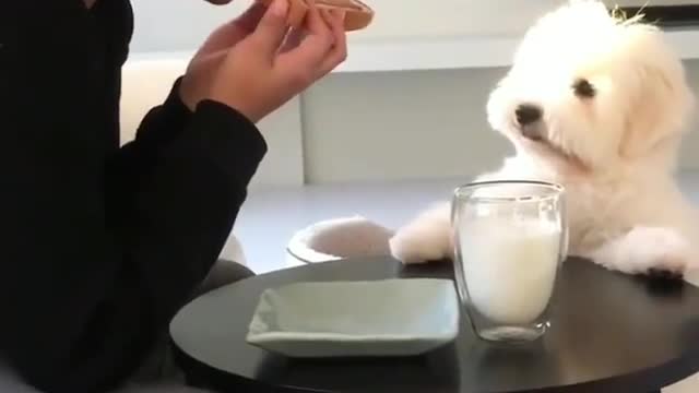 It looks delicious. Please give me some