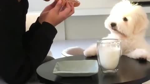 It looks delicious. Please give me some