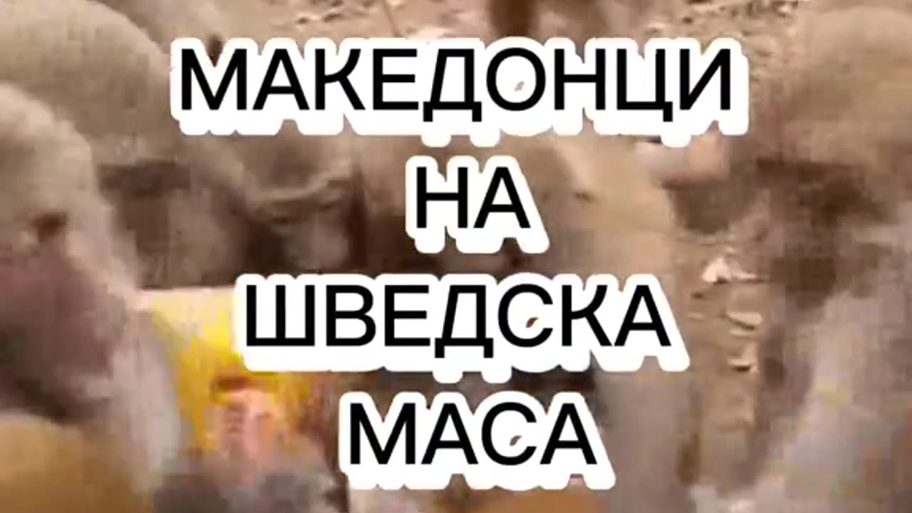 МАКЕДОНЦИ НА ШВЕДСКА МАСА