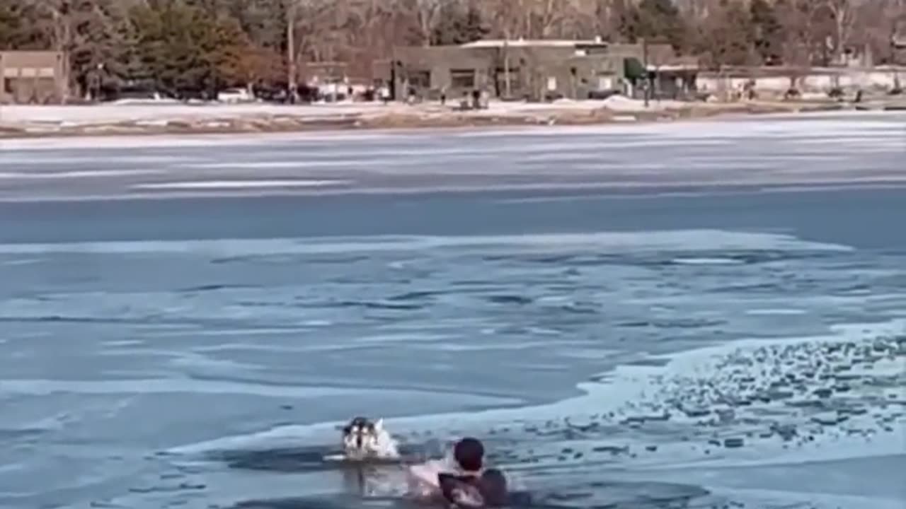 "Heroic Rescue: Man Takes the Plunge to Save His Beloved Dog from a Frozen Lake!"