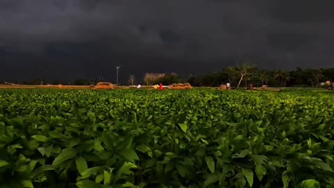 Nice 👍 view and rain 🌧️ time