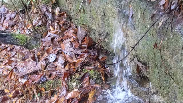 Peaceful little waterfall