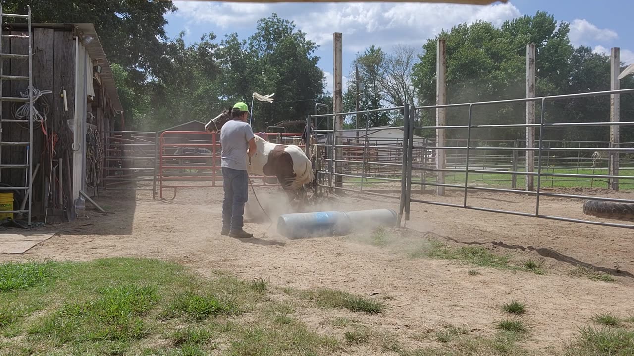 Ol peanut # 7,,,parts,,1,,,2,,3