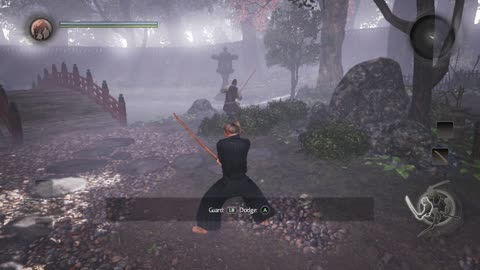 Nioh glitch