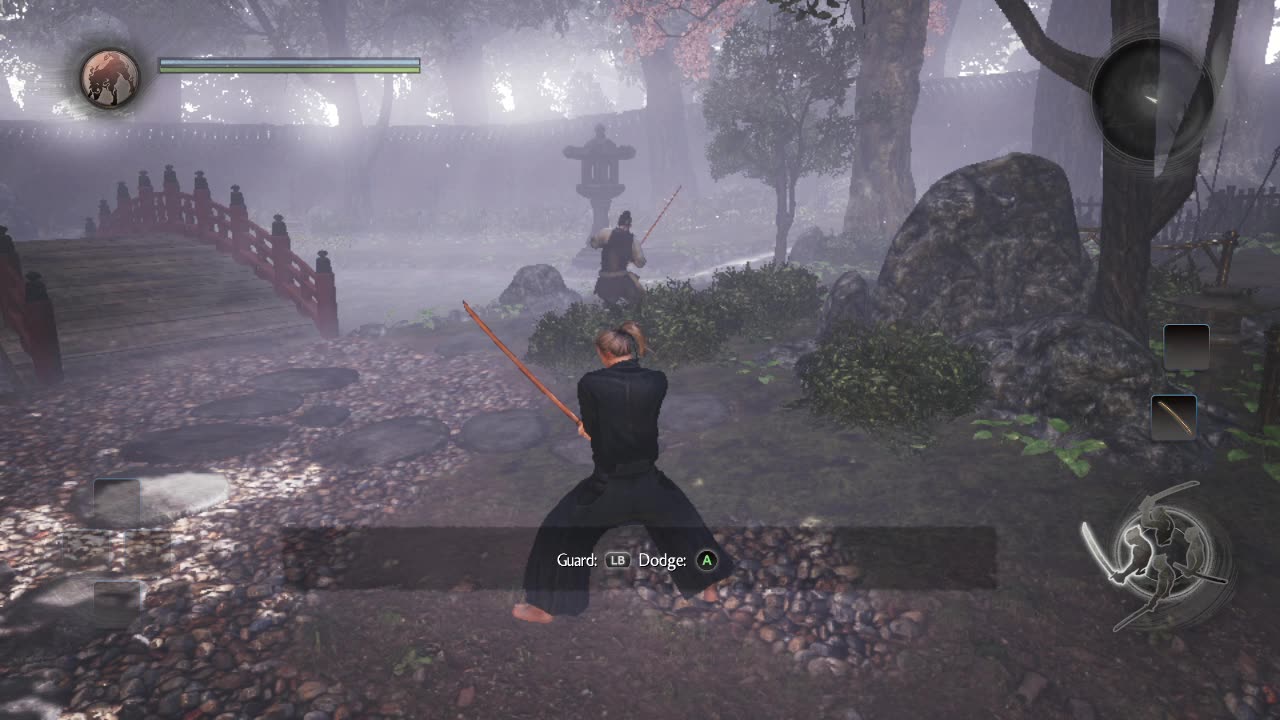 Nioh glitch