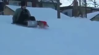 That's my sled!