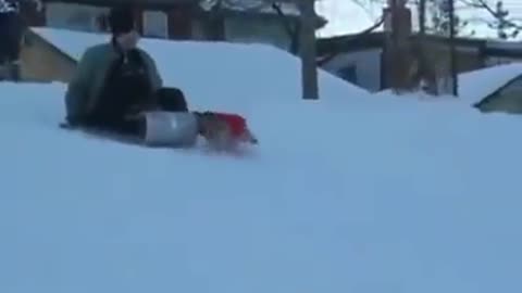 That's my sled!
