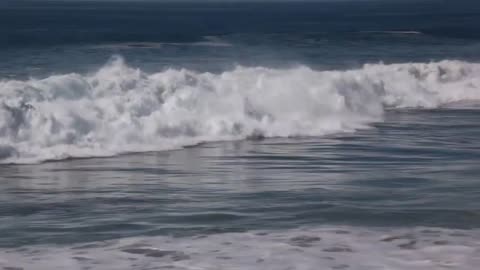 Surf n Sand 1 - Newport Beach, CA