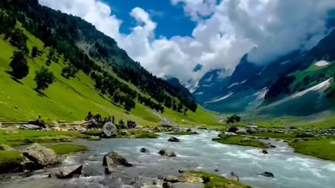 Kashmir