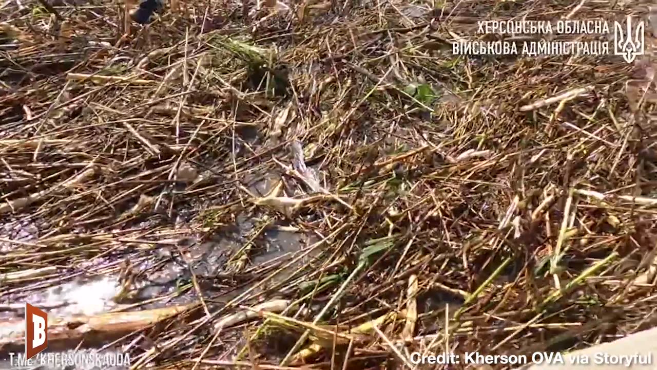 WHO DID IT? Ukrainians Evacuated from Kherson After Flood from Major Dam Breach