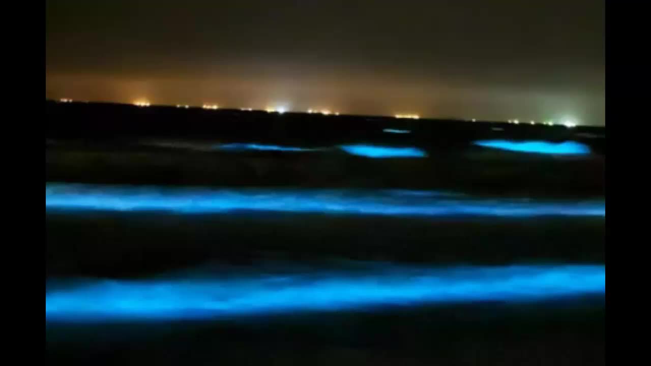 ***Texas Gulf Coast Lights Up With Neon Blue Waves!***