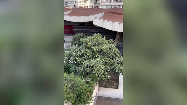 YOU SILLY STUNT: Free Runner Crashes Into Roof In Fall Fail