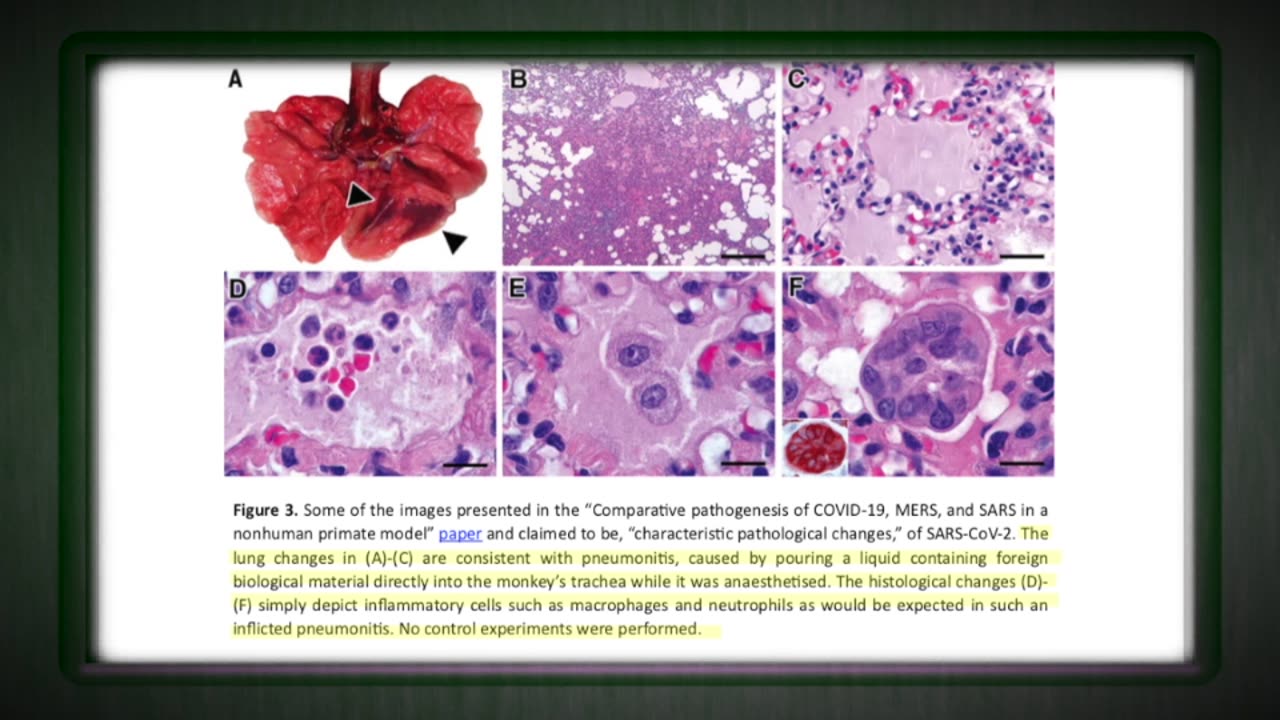 A FAREWELL TO VIROLOGY (PT 1): Dr Mark Bailey / Steve Falconer