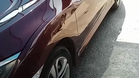 Honda full dent paint