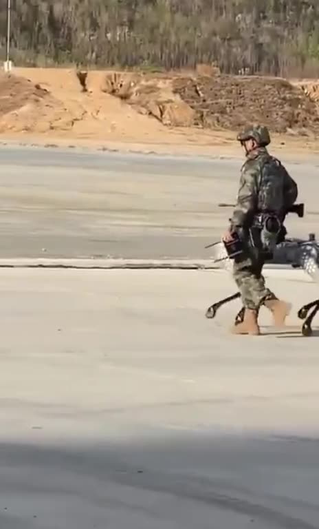 A headless dog-shaped robot