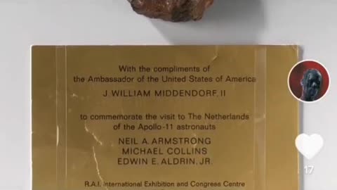 Moon Rock was actually petrified wood.