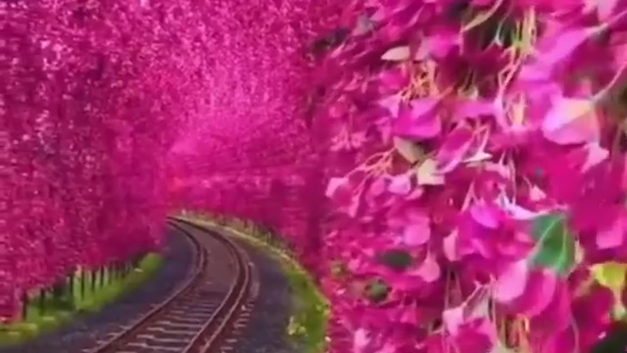 Place that don't feel real