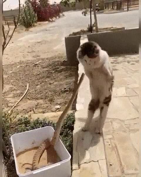 Ultimate life-saving response ... 👏 👏