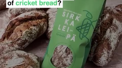 Bread made from bugs - Yuck